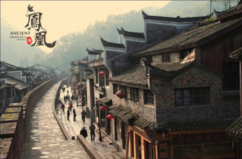逃离制药厂